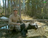 bears2008-012